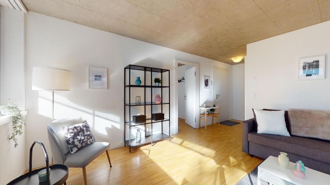 Bright And Luminous 1 Bedroom Flat In Downtown Apartment Sion